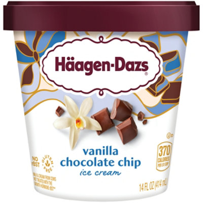 Haagen-Dazs Vanilla Chocolate Chip Ice Cream - 14 Fl. Oz. - Image 4