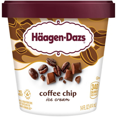 Haagen-Dazs Ice Cream Java Chip - 14 Fl. Oz.