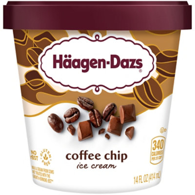 Haagen-Dazs Ice Cream Java Chip - 14 Fl. Oz. - Image 1