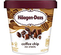 Haagen-Dazs Ice Cream Java Chip - 14 Fl. Oz.