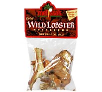 Mushrooms Dried Wild Lobster - .5 Oz