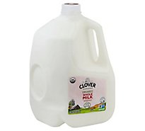 Clover Organic Whole Milk - Gallon