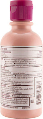 Caladryl Pink Skin Protectant Lotion Calamine Itch Reliever - 6 Fl. Oz. - Image 5