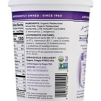 Nancys Organic Yogurt Whole Milk Plain - 32 Oz - Image 6