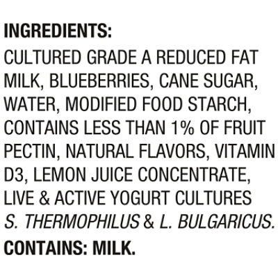 Dannon Fruit on the Bottom Blueberry Low Fat Yogurt 5.3 Oz - Image 4