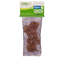 Organic Ginger Root Organic - 3 Oz