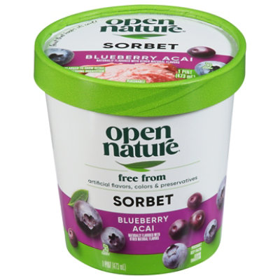 Open Nature Sorbet Blueberry Acai - 1 Pint - Image 3