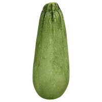White Round Squash