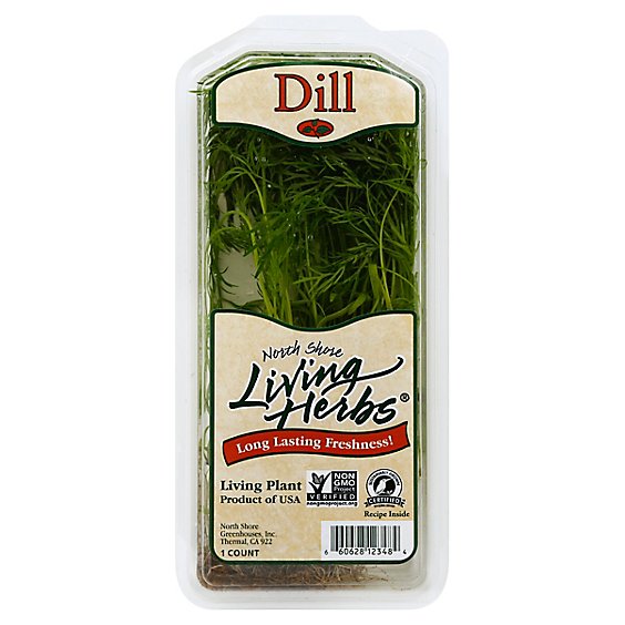 Fern Leaf Dill - 1 Lb