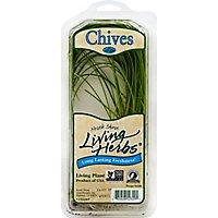 North Shore Living Herbs Chives - 1 Count - Image 2