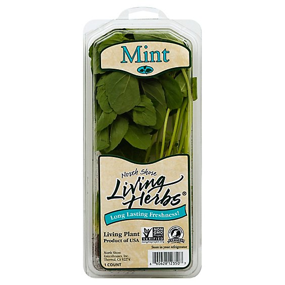 Cool Mint - 1 Lb