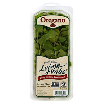Oregano Bold - 1 Lb