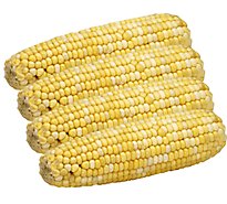 Fresh Cut Corn Bi Color Tray Pack 4 Count - 37 Oz