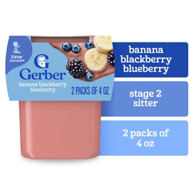Gerber 2nd Foods Banana With Mixed Berry Tubs Multipack - 2-4 Oz