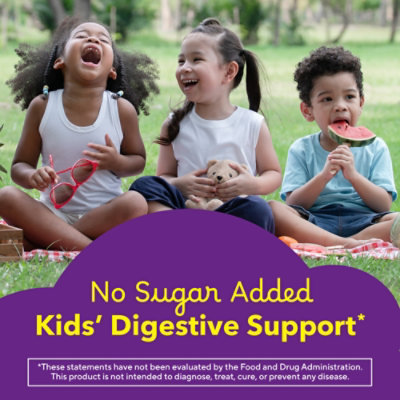 Lil Critters Kids Fiber Gummy Bears Supplement - 90 Count - Image 2