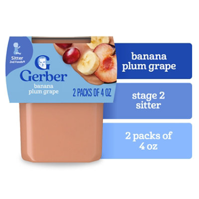 Gerber 2nd Foods Natural Banana Plum Grape Wonder Baby Food Tub - 2-4 Oz - Image 1