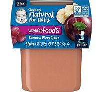 Gerber 2nd Foods Natural For Baby WonderFoods Baby Food Tubs Multipack - 2-4 Oz