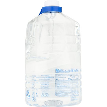 Alkaline88 8.8pH Purified Water - 1 Gallon - Image 6