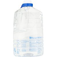 Alkaline88 8.8pH Purified Water - 1 Gallon - Image 6