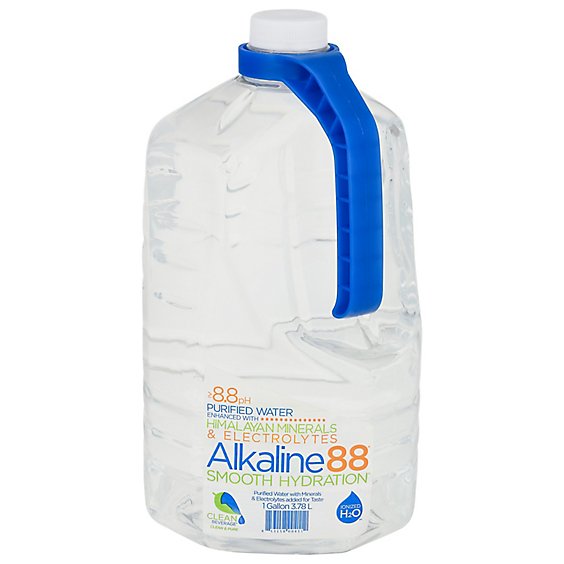 Alkaline88 8.8pH Purified Water - 1 Gallon