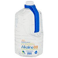 Alkaline88 8.8pH Purified Water - 1 Gallon - Image 1