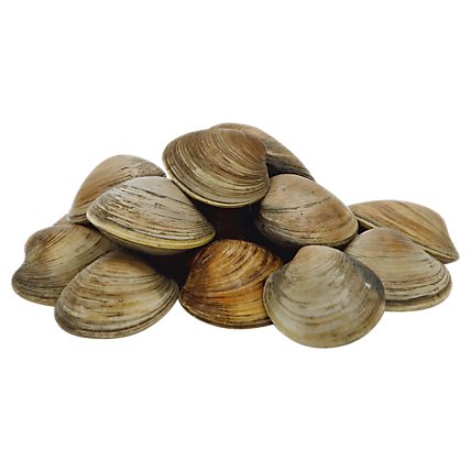 Seafood Service Counter Clams Littleneck Live - 1.50 Lbs. - Image 1