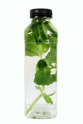 Infused Spring Water Cucumber Mint Plus CRV - 15 Fl. Oz. (10 Cal)