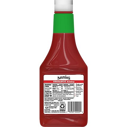 Annies Naturals Ketchup Organic - 24 Oz - Image 6