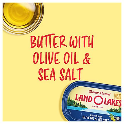 Land O Lakes Butter With Olive Oil And Sea Salt Tub - 13 Oz