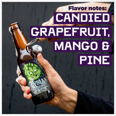 Elysian Space Dust IPA Bottle - 22 Fl. Oz. - Image 4