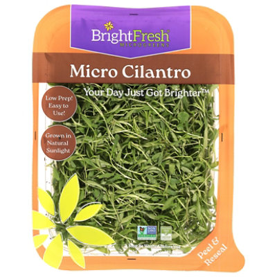 BrightFresh Micro Cilantro - 1.75 Oz - Image 1