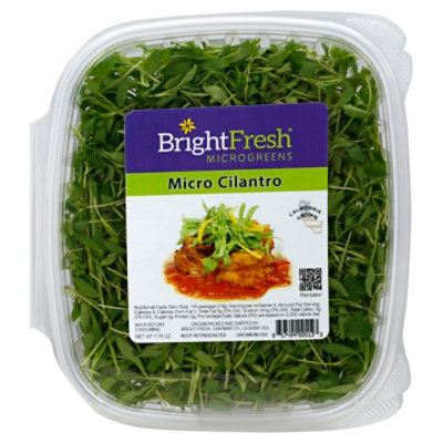 BrightFresh Micro Cilantro - 1.75 Oz