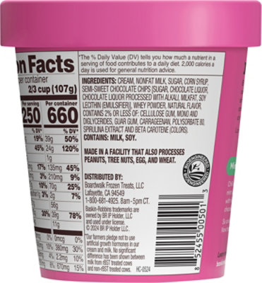 Baskin Robbins Ice Cream Mint Chocolate Chip - 14 Fl. Oz. - Image 5