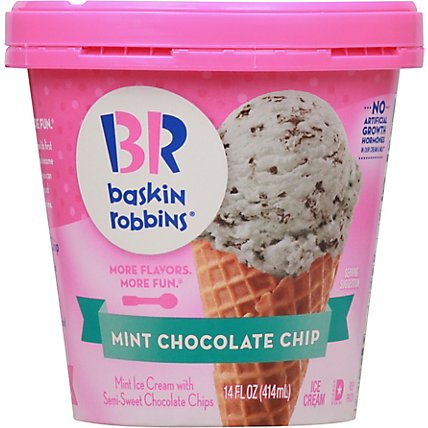 Baskin Robbins Ice Cream Mint Chocolate Chip - 14 Fl. Oz. - Image 2