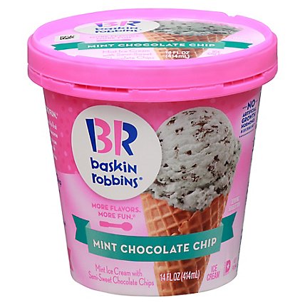 Baskin Robbins Ice Cream Mint Chocolate Chip - 14 Fl. Oz. - Image 1
