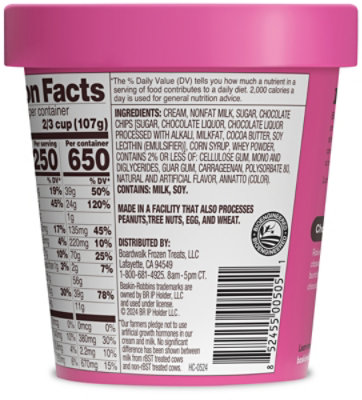 Baskin Robbins Ice Cream Chocolate Chip - 14 Fl. Oz. - Image 6