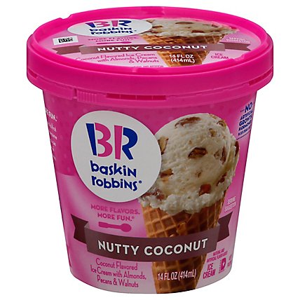 Baskin Robbins Nutty Coconut Ice Cream - 14 Fl. Oz. - Image 3
