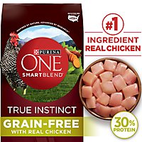 Purina ONE SMARTBLEND Dog Food Premium With Real Chicken & Sweet Potato Bag - 12.5 Lb - Image 1