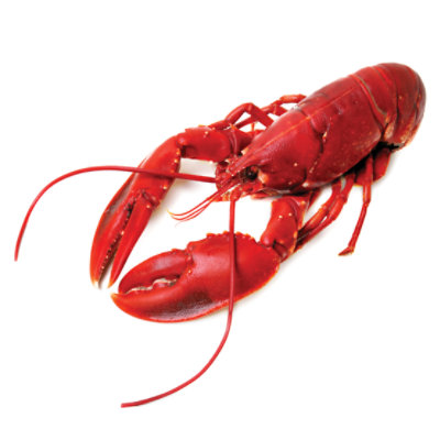 Lobster Whole Cooked 12 to 14 Oz 1 Count - .9 Lb (subject to availability) - Image 1