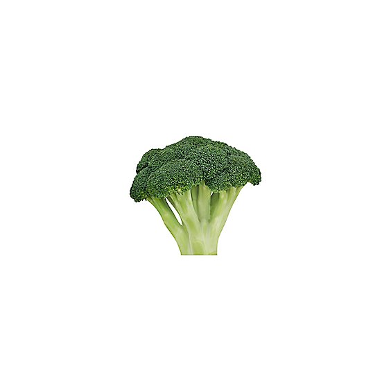Fresh Cut Organic Broccoli - 8 Oz