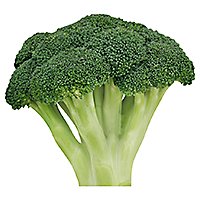 Fresh Cut Organic Broccoli - 8 Oz - Image 1