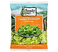 Ready Pac Fresh European Style Salad Blend Caesar Romaine - 10 Oz
