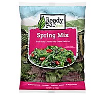 Ready Pac Fresh European Style Salad Blend Spring Mix - 5 Oz