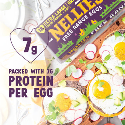 Nellies Eggs Free Range Extra Large Brown - 12 Count - Image 6