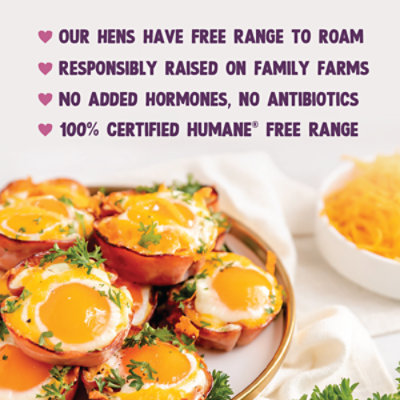 Nellies Eggs Free Range Extra Large Brown - 12 Count - Image 7