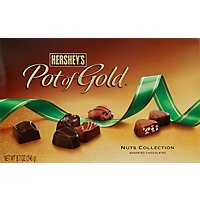 HERSHEYS Pot Of Gold Nut Assorted Box Chocolate - 8.7 Oz - Image 2