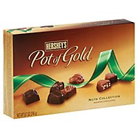 HERSHEYS Pot Of Gold Nut Assorted Box Chocolate - 8.7 Oz - Image 1