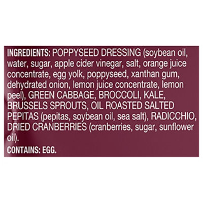 Taylor Farms Sweet Kale Chopped Salad Kit Family Size - 22.3 Oz - Image 4