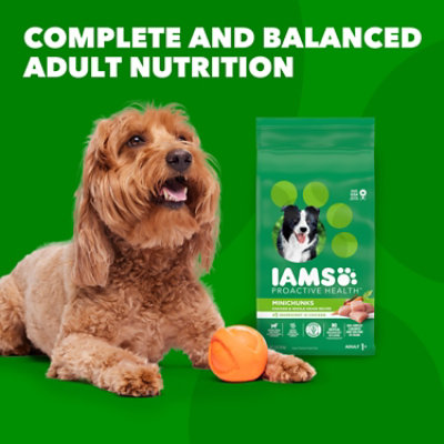 Iams Proactive Health Minichunks Chicken and Whole Grains Adult Small Kibble Dry Dog Food - 7 Lbs - Image 4