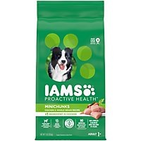 IAMS Adult Minichunks Chicken High Protein Dry Dog Food - 7 Lb - Image 1